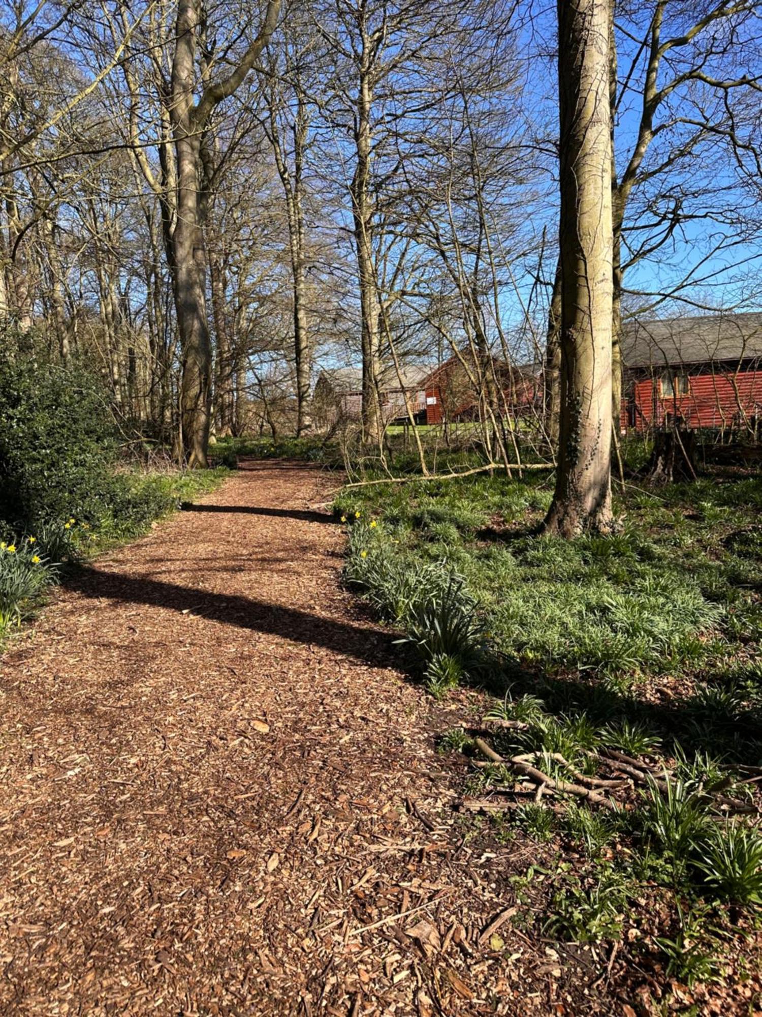 Max'S Woodland Lodge بريدلينغتون المظهر الخارجي الصورة